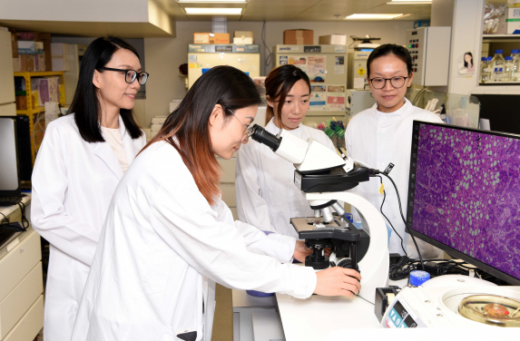 港大醫學院研究團隊證實，肝癌細胞依賴甲羥戊酸途徑來規避程序性細胞死亡。通過使用阿托伐他汀阻斷這一通道，能夠有效瓦解癌細胞的關鍵防禦機制。
 